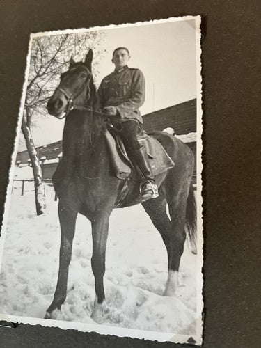 WW2 German Photo Album 170+ Pictures Postcards Cavalry Horses SRP-Final - Image 4